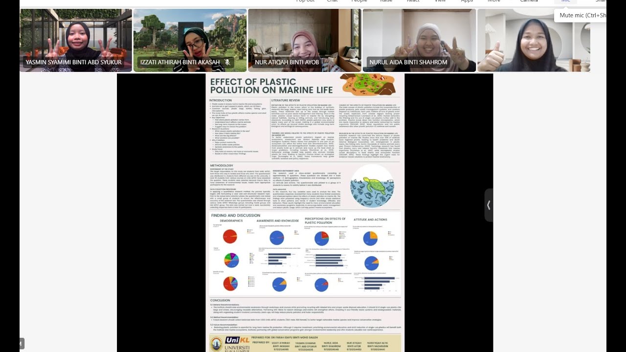 The Effects of Plastic Pollution on Marine Life