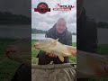 Relacja z Live. Mały trening przed zawodami method feeder. #wędkarstwo #fishing #methodfeeder