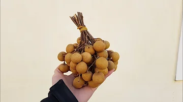 Co jsou ovoce vhodné k sušení?