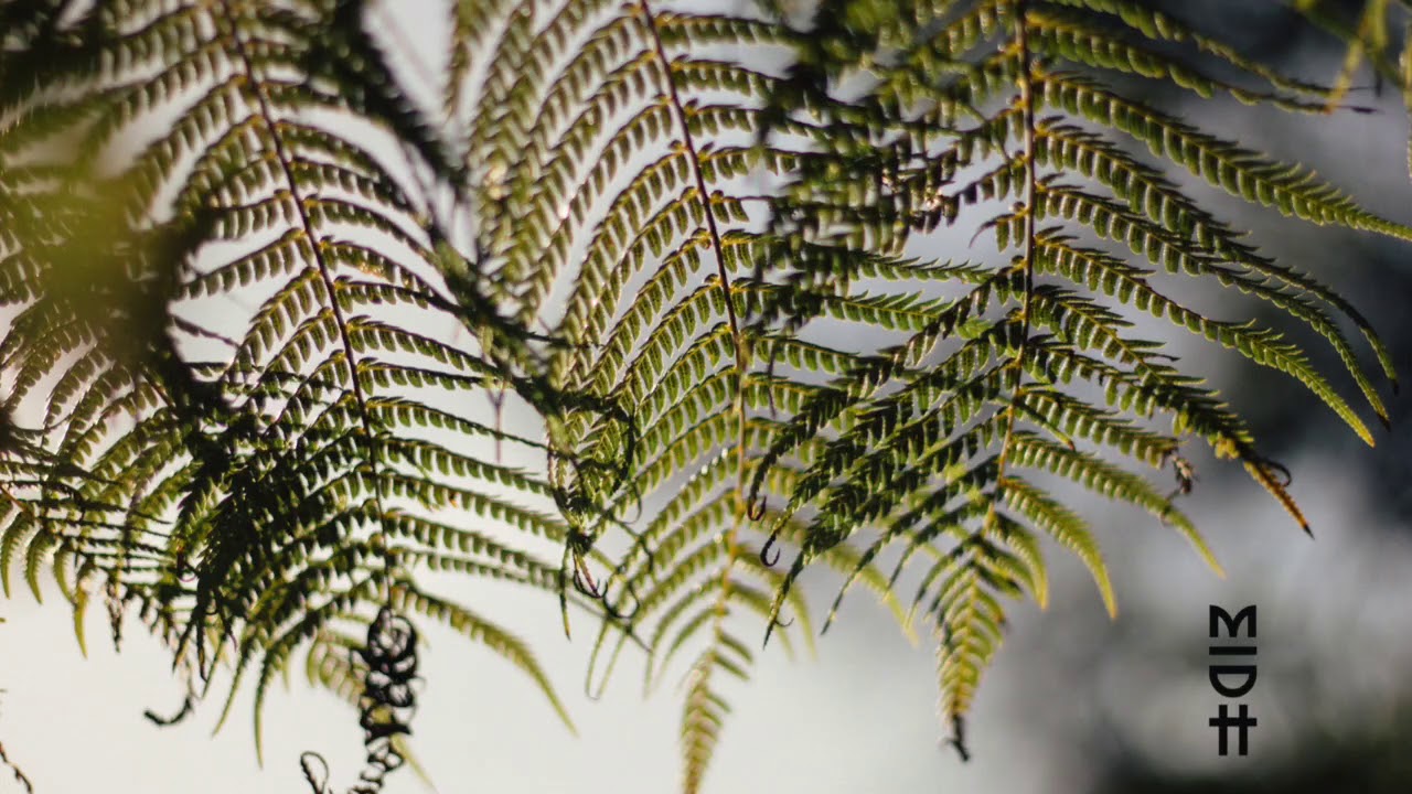 Rancido & MoBlack - Forever