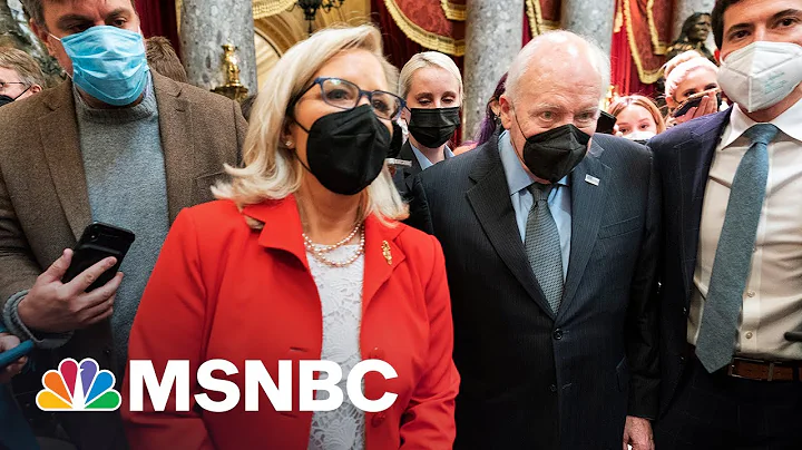 Raskin: Chilling For Liz And Dick Cheney To Be Onl...