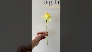 WAFER PAPER Daffodils • no  wires !! 🌺😍