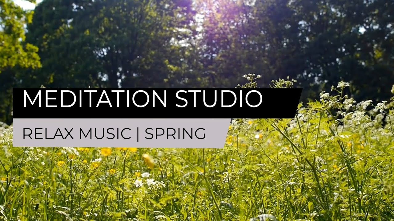 Spring Meadow Relaxation — Calm Music for Deep Rest & Stress Relief ...