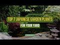 Top 7 Japanese Garden Plants For Your Yard 