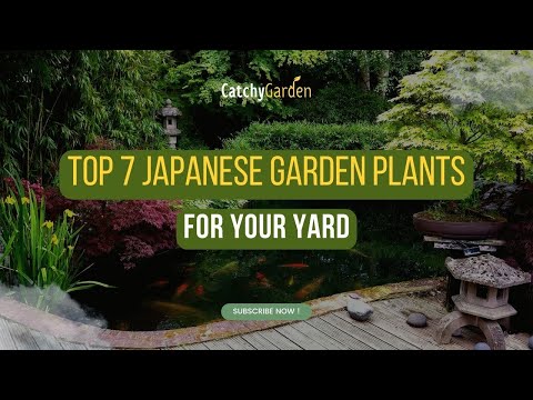 Top 7 Japanese Garden Plants for Your Yard by Catchy Garden
