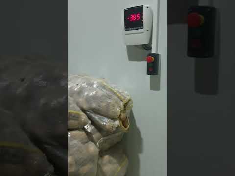 غرفة تجميد السريع الصعق تونيل بطاطة نصف مقلية مرسين تركيا 00905346306395