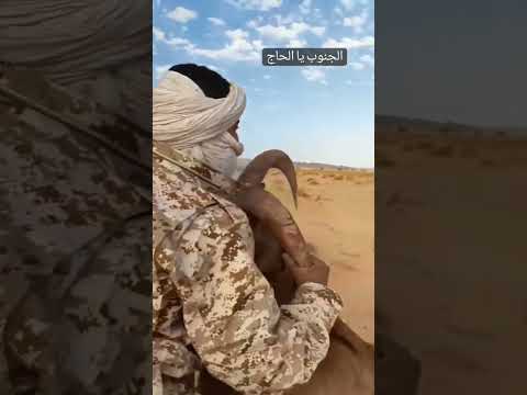 لروي يا كبدي