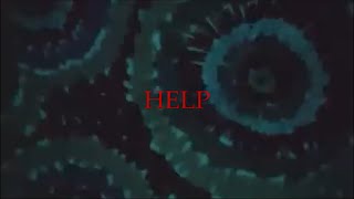 WHOKILLEDXIX - Help (Lyric video)