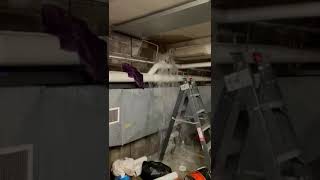 disaster! blocked sewer in basement! sps plumbers to the rescue! - sps plumbers #shorts