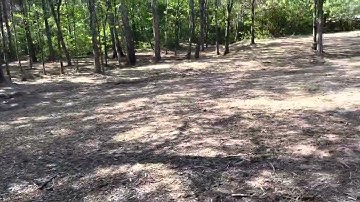 Brentwood, TN yard clearing and transformation