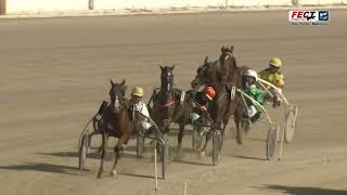Vidéo de la course PMU PREMI ALI RODNEY