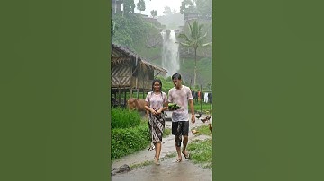 Suami Istri Berjalan Santai Saat Hujan Deras #shortvideo #shorts #rainsoundsforsleeping #rain