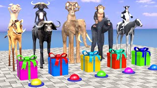 Max Level Long Legs Cow Elephant Tiger Buffalo Pig T-Rex Choose The Right Gift Box