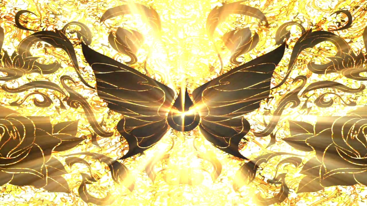 Butterfuly Visual VJ Ethnik Butterfly 9 |Free Background||VJ Loop||Visual Graphics ...