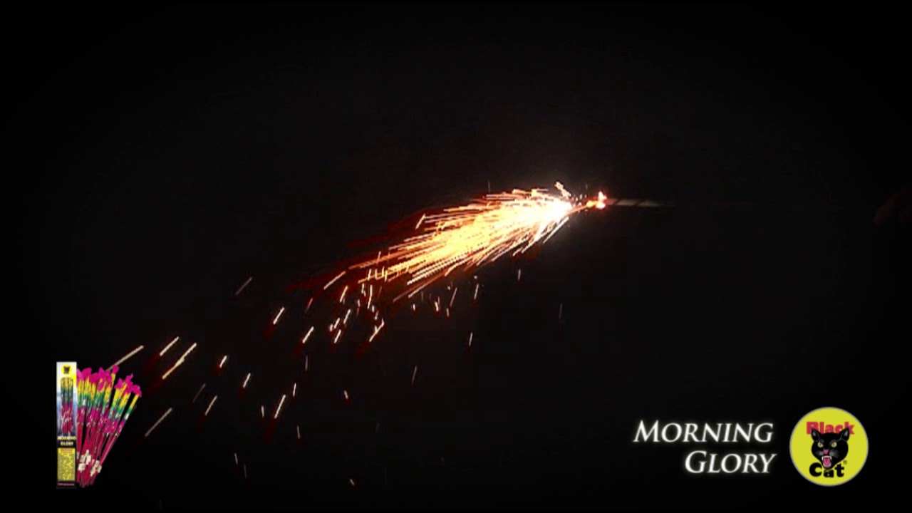 Morning Glory 16 Black Cat Fireworks YouTube