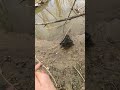 Размер в размер попались #рыбалка #fishing #улов #рыба