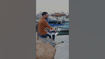 سورة الممتحنة #رعد_الكردي #تلاوة_خاشعة #قرآن #اكسبلور #لايك