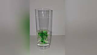 Awesome science activities & experiment at home