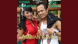 Perawan Tuwek (feat. Jodik Seboel)