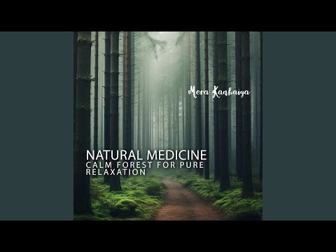 Watch Calm Forest Sounds for Relaxation on YouTube