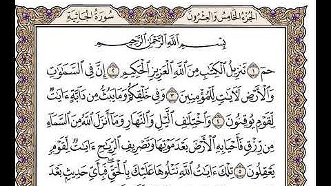 سورة الجاثية للقارئ الشيخ وديع اليمني