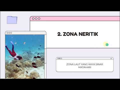 Video: Mengapa disebut zona bathyal?