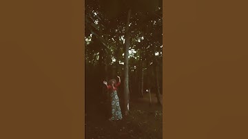 MUSIC-MISTLETOE MOON-REGAL NOISE