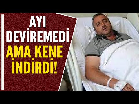 AYIYLA GÜREŞTİ, KENEYE YENİLDİ!