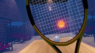 Squash VR simulation