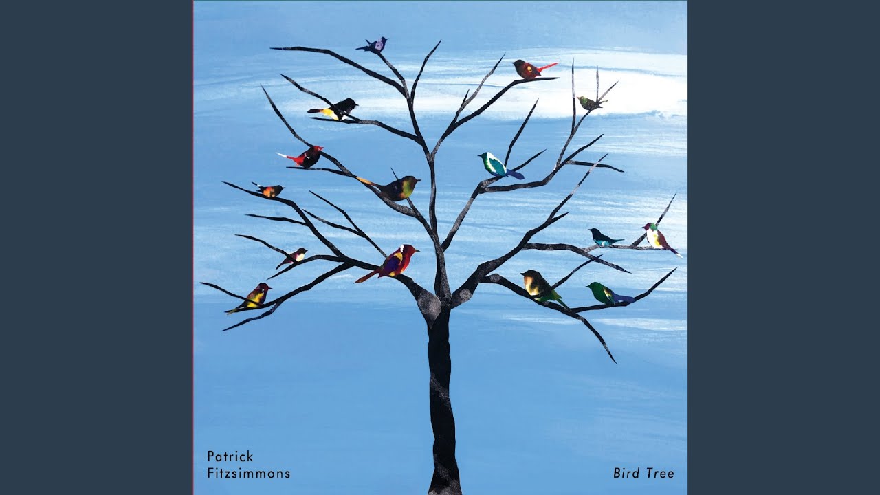 Птицы дерево начинающему. Альбом деревья. Обложка музыкального альбома с деревом. Логотип психолог дерево птицы. Исполнитель в центре по бокам деревья альбом.