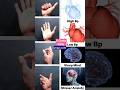 daily mudras #highbp #lowbp #share #sharp #mind #yoga #stress #motivation #yogapose #mudra #memory