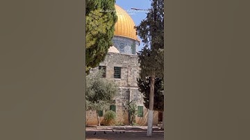 قال تعالى {لَقَدْ جَآءَكُمْ رَسُولٌ مِّنْ أَنفُسِكُمْ }  سورة_التوبة ، آيه ١٢٨ #اكسبلور #قبة_الصخرة