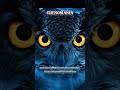 Burung Hantu Bisa Putar Kepala 270°!😱🦉 Fakta Hewan Paling Seram! #shorts #ai #faktaunik #burunghantu