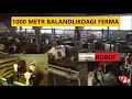 Ferma 1000 metr balandlikdagi. Ratsion. Avstriya