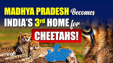 India’s 3rd Home for Cheetahs | Nauradehi Wildlife Sanctuary | NEXT IAS