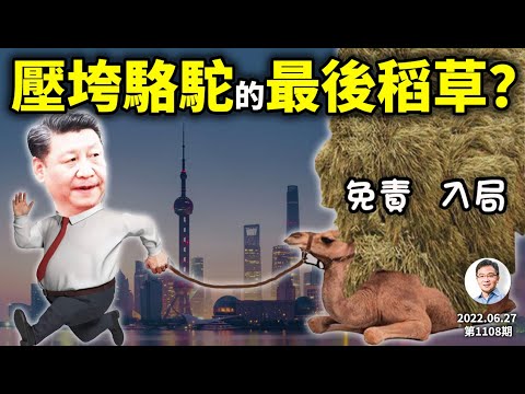 清零收場卻「當場打臉」，會成為壓垮駱駝的最後一根稻草？「免責入局」的崩塌效應（文昭談古論今20220627第1108期）