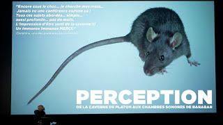 PERCEPTION (PART1) : HASARD, PUB, MATRIX, HISTOIRE, MANIPULATION, DIEU, NATURE, HERMÉTISME… screenshot 4