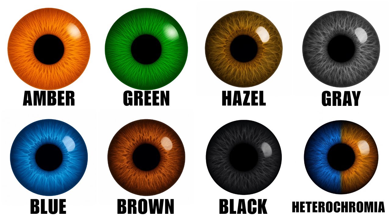 Every Hidden Defect of Your Eye Color Explained