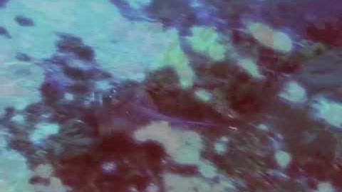 Assignment and the Other World