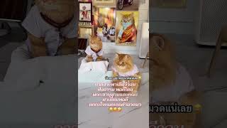 กำลังพาเด็กๆนั่งสมาธิ ผกก.ชานุมานมาเยี่ยม