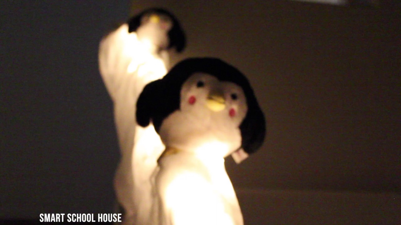 Penguins Sliding Down The Stairs Smart School House Youtube