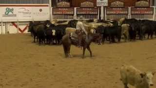 Junie Wood and John Mitchell β 2015 NCHA Super Stakes Open Champions