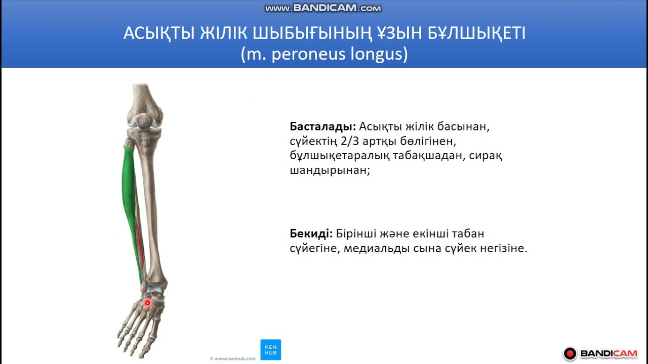 Брэнди Тейлор және Джанна Майклс үлкен сиськи бар