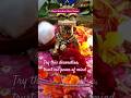 Hare Krishna Hare Rama! Happy!Janmastami#shorts#shortvideo#youtubeshorts#@YourCreativesHome#song