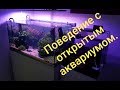 Поведение с открытым аквариумом.