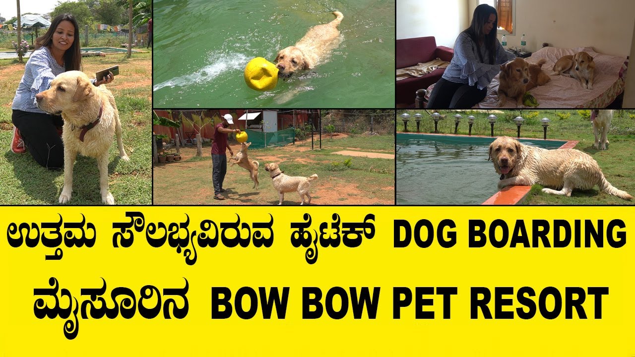 ಇವರ ಮನೆಯೇ DOG BOARDING..ಇಲ್ಲಿ ಯಾವ ನಾಯಿಗಳಿಗೂ ಕೂಡ CAGEನಲ್ಲಿ ಇಡುವುದಿಲ್ಲ