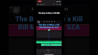 Kill Bill (The Boy is Mine Remix) (Pitched Up)