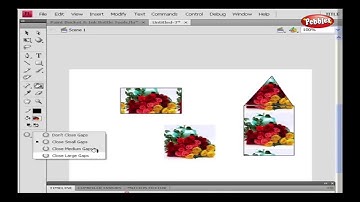 Paint Bucket & Ink Bottle Tools  || Flash CS4  Presentation || Tutorial For Beginners
