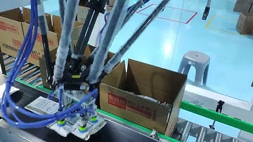 Parallel Robot with Dual Pick for Seasoning Pouch Cartoning