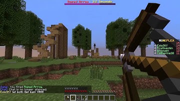 Super Smash Mobs: EzioSKY Hacking